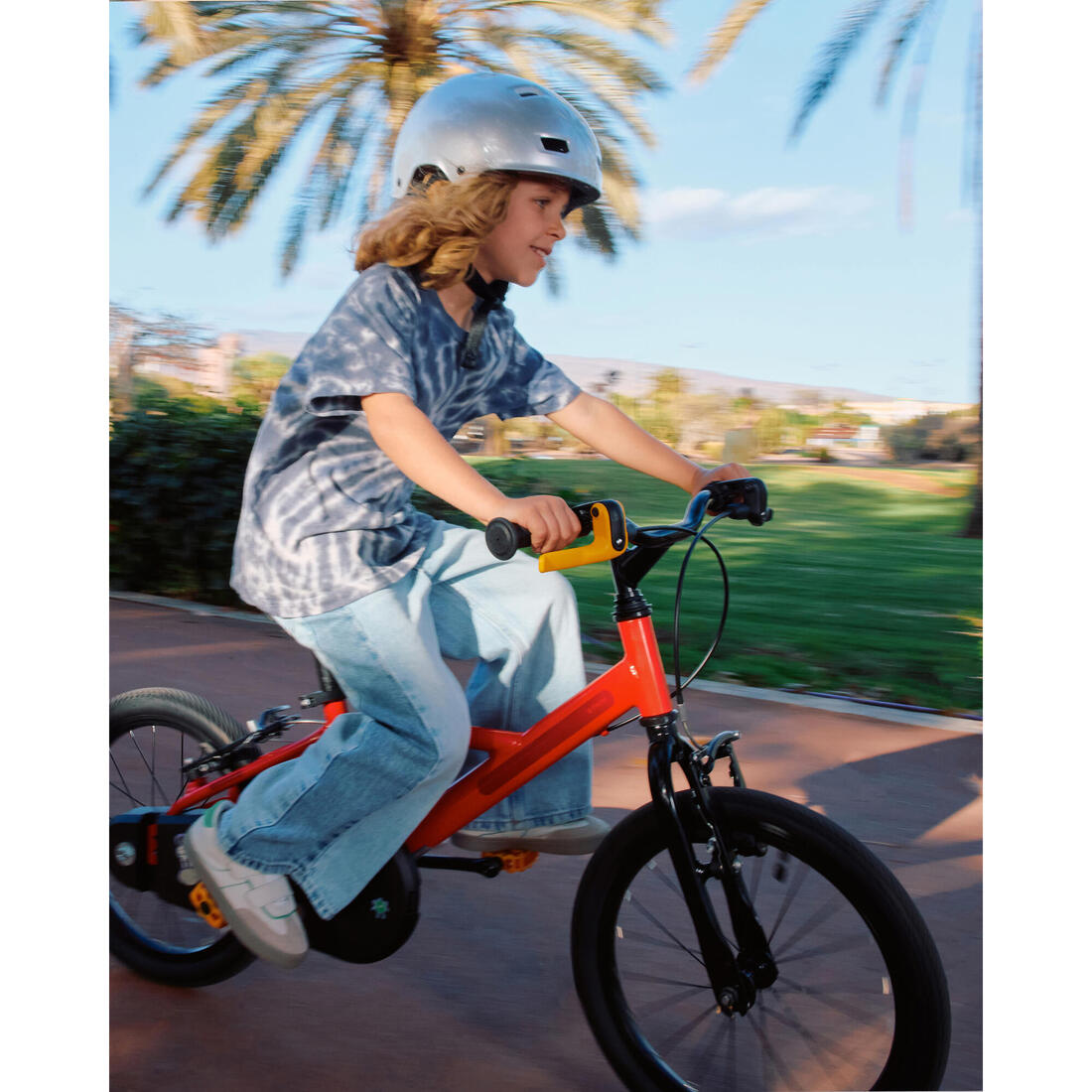 IMG_8901293_39