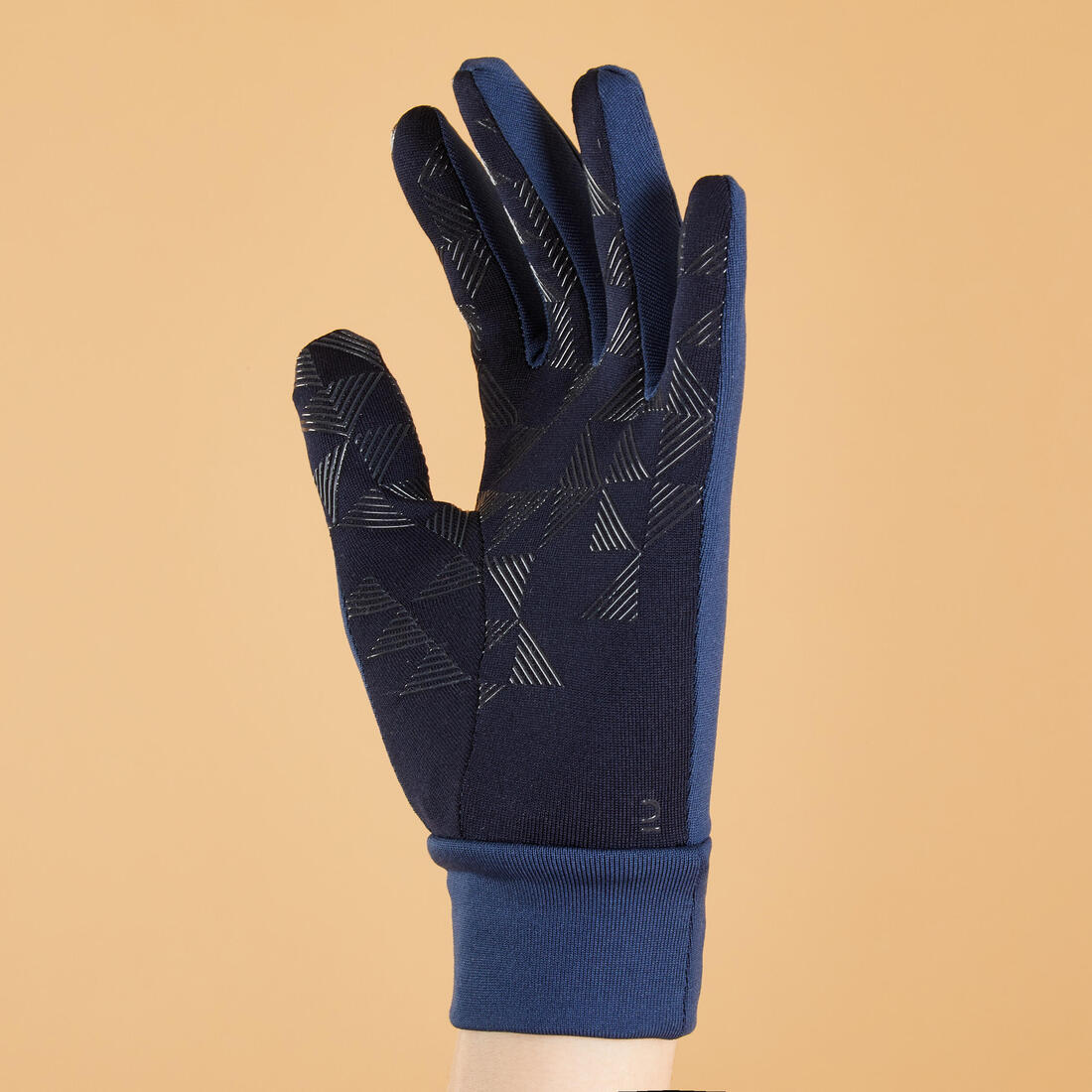 IMG_8579901_4