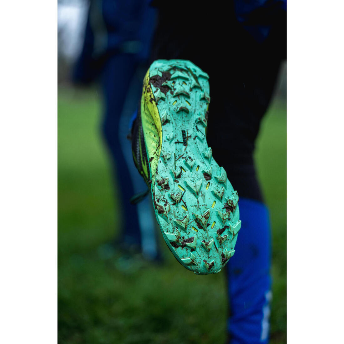 IMG_8800255_15