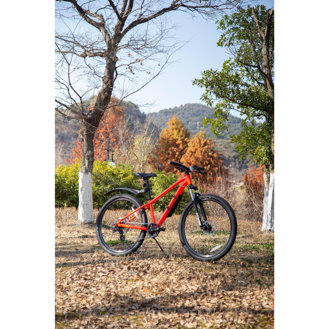 IMG_8615206_17