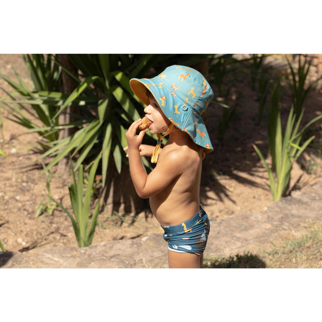 IMG_8790379_10