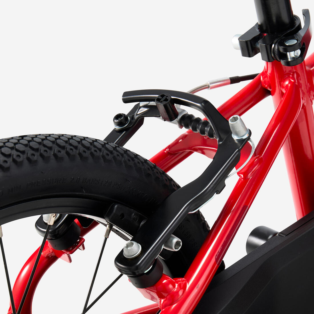 IMG_8901293_8
