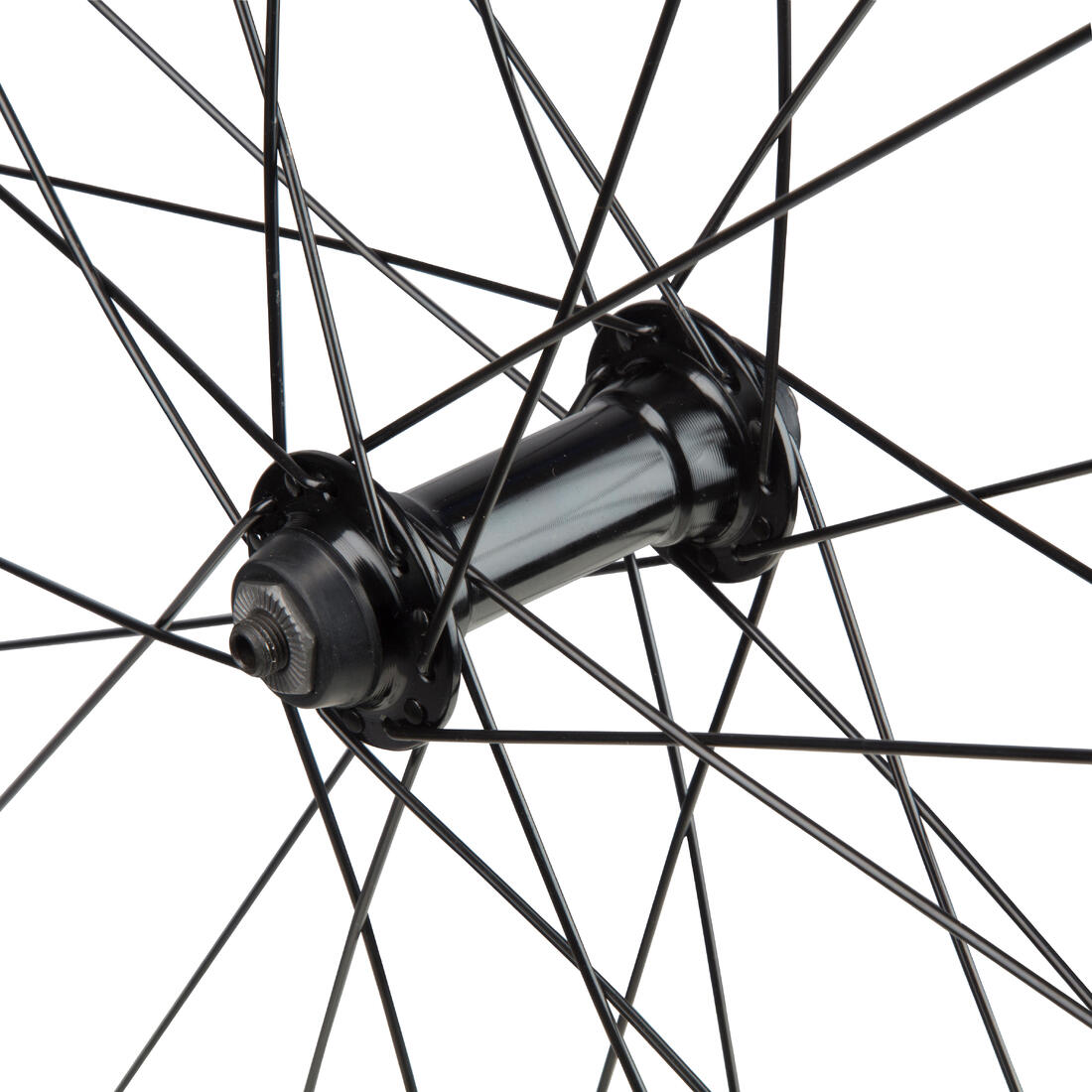 IMG_8528050_5