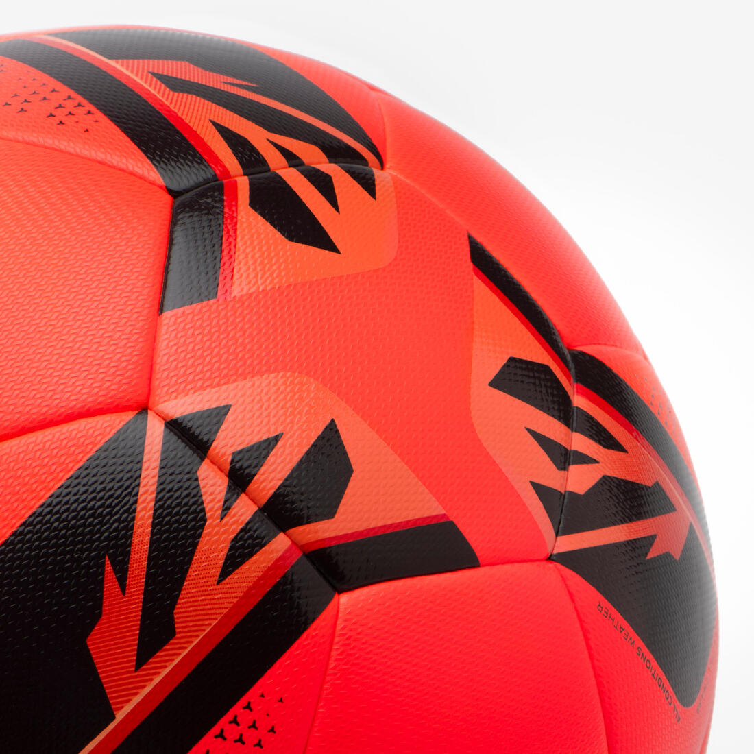 IMG_8790035_8