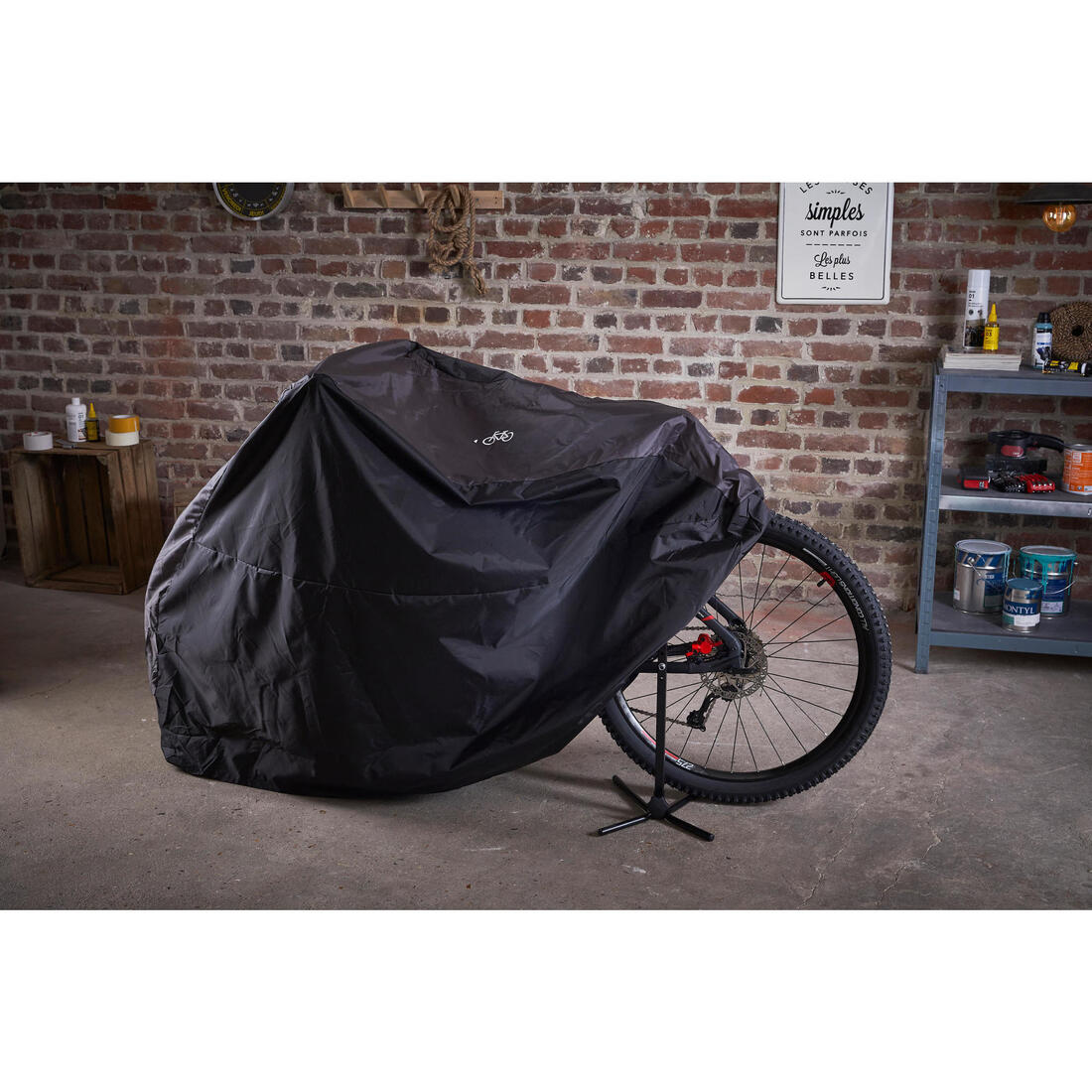 IMG_8549581_3