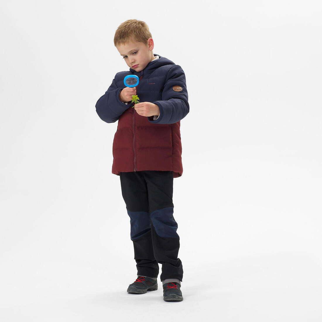 IMG_8645625_4