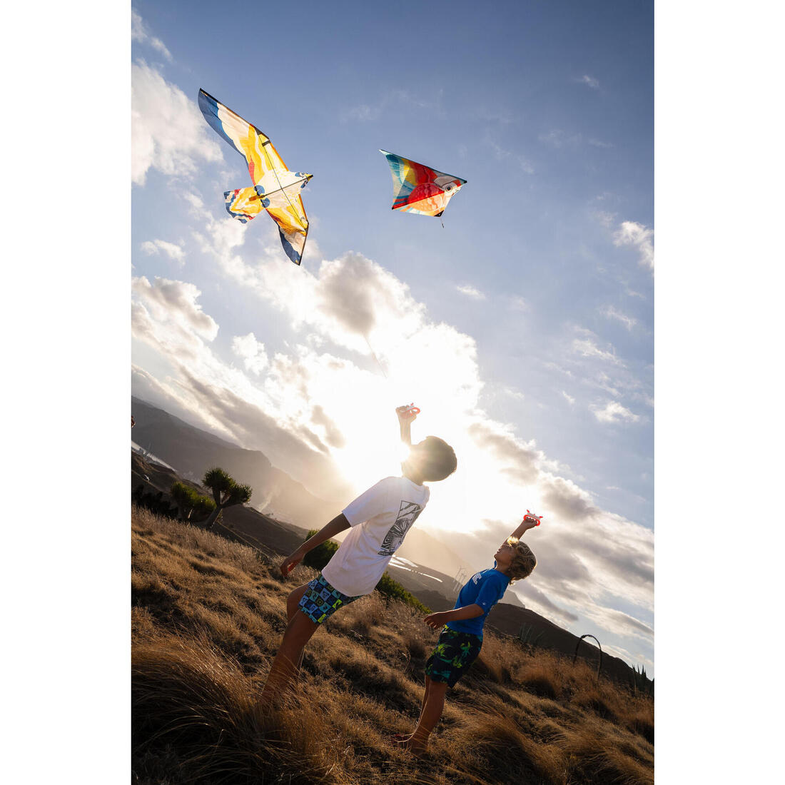 IMG_8871711_8