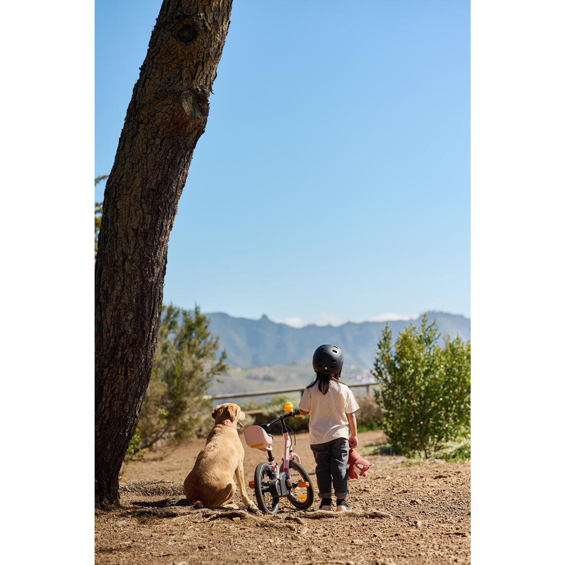 IMG_8646305_22