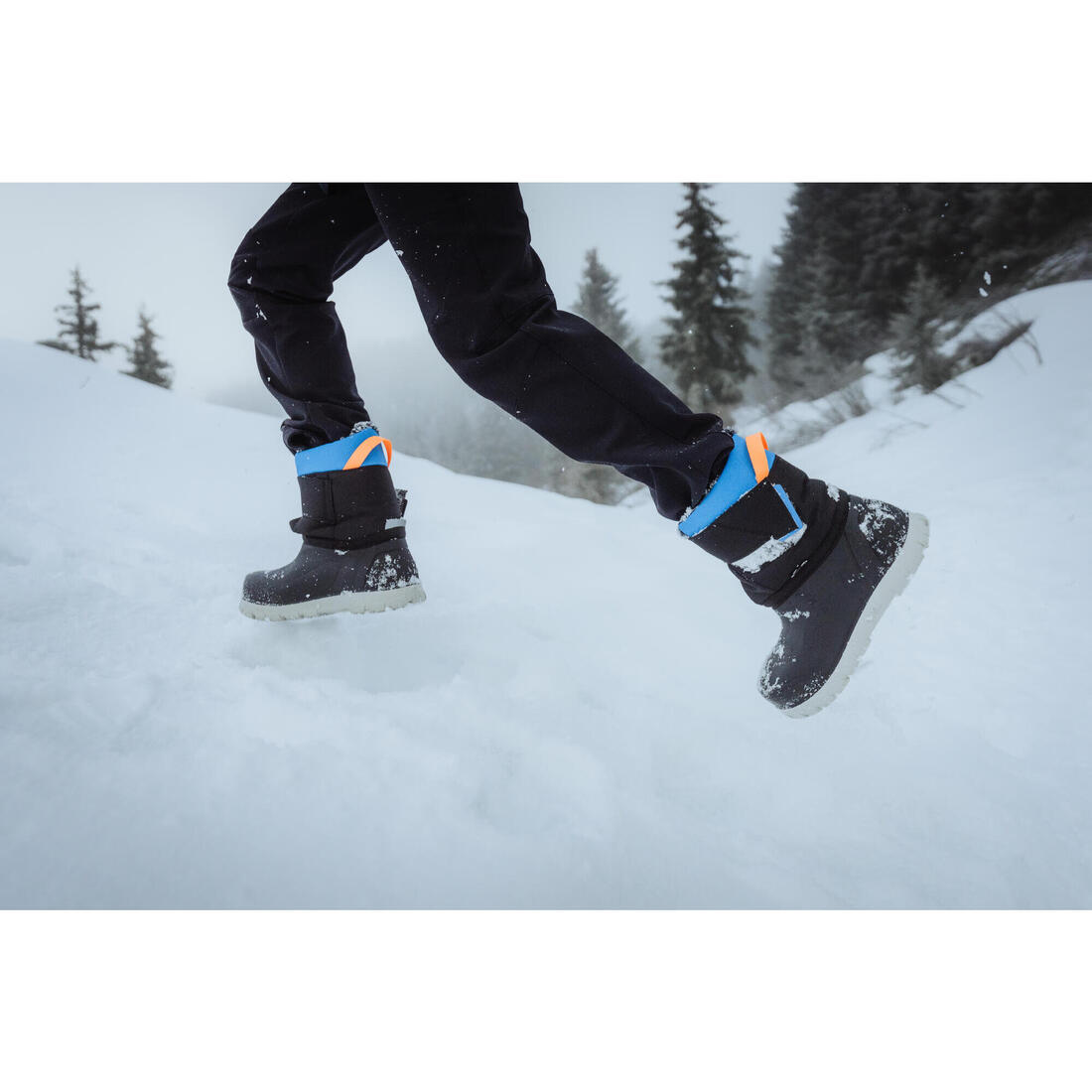 IMG_8901618_6