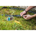 IMG_8563156_85