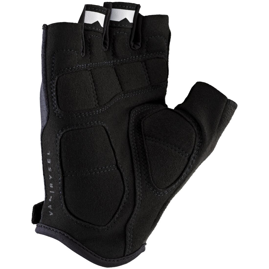 IMG_8528199_2