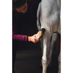 Product thumbnail 3 of 3