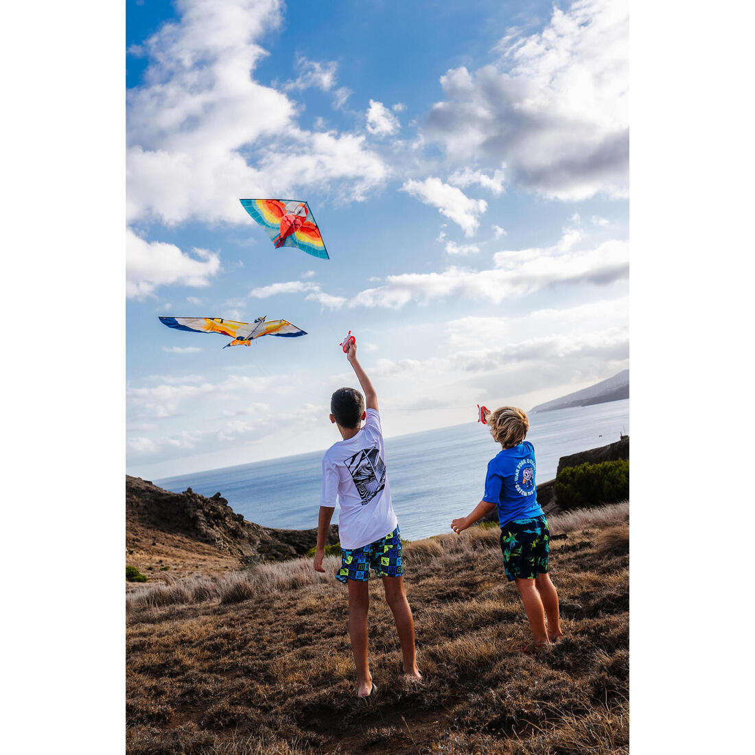 IMG_8871711_2