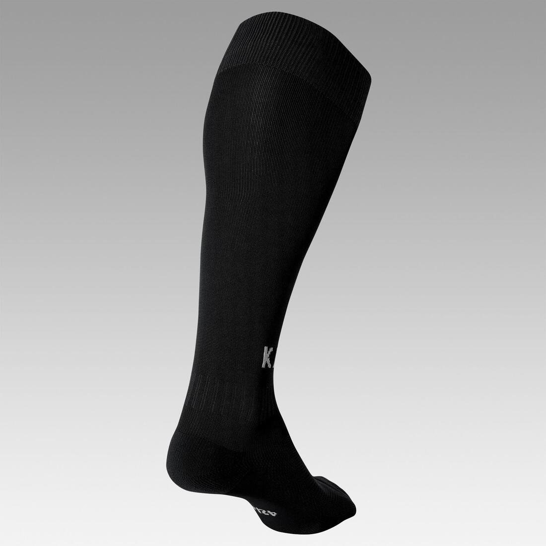 IMG_8495634_2
