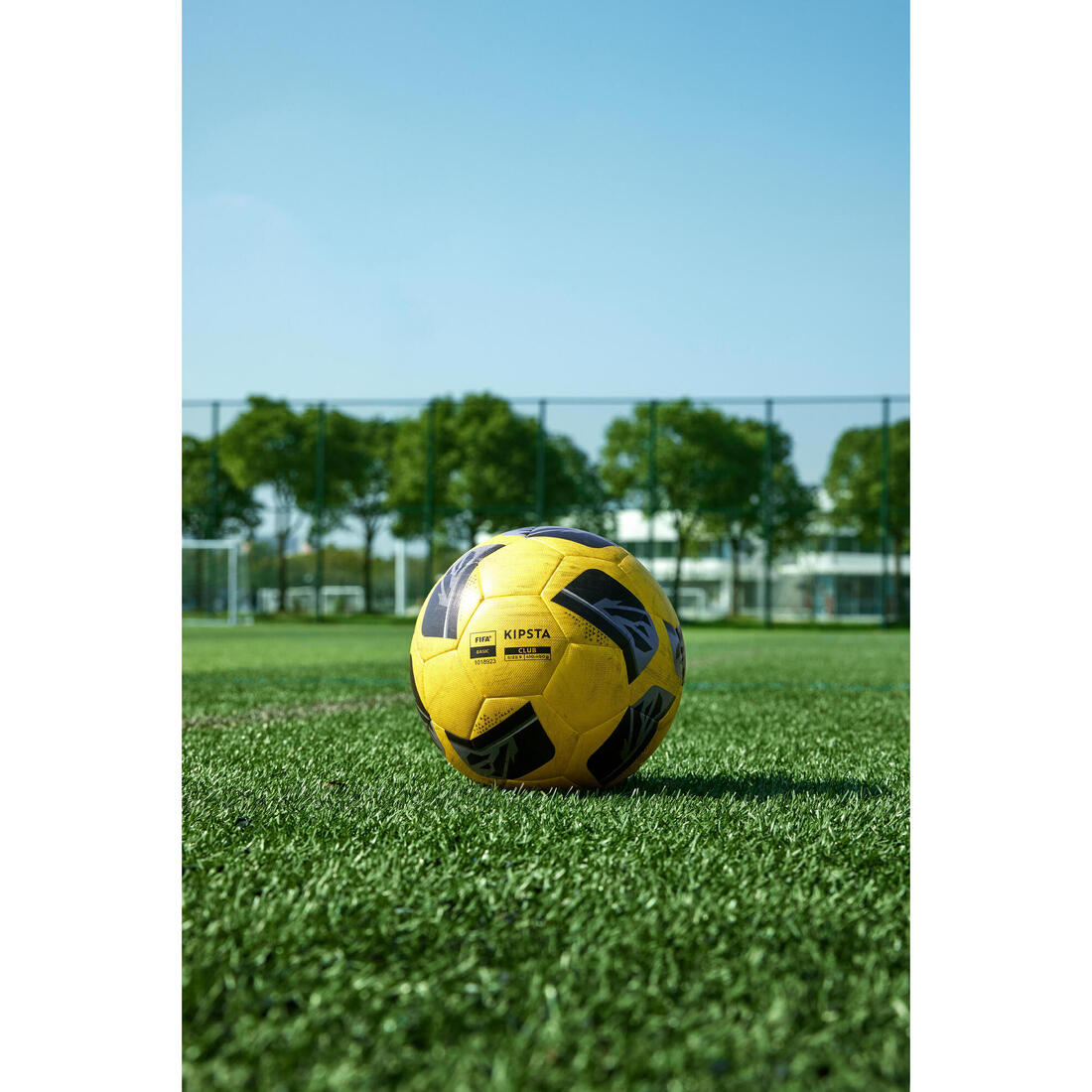 IMG_8790036_22