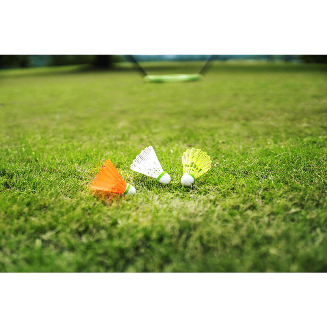 IMG_8873099_5