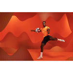 Product thumbnail 11 of 11