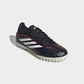 IMG_3134424