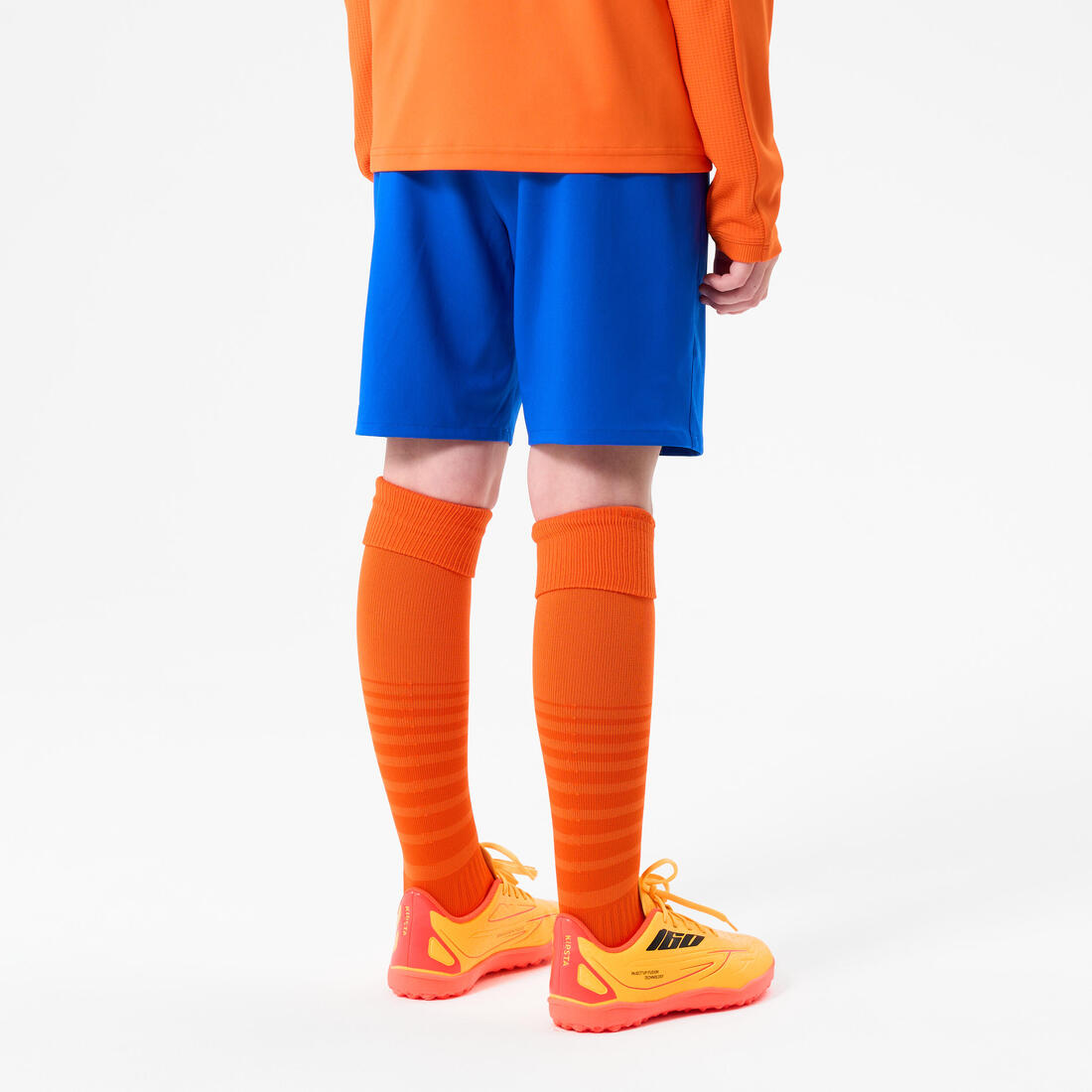 IMG_8558503_4