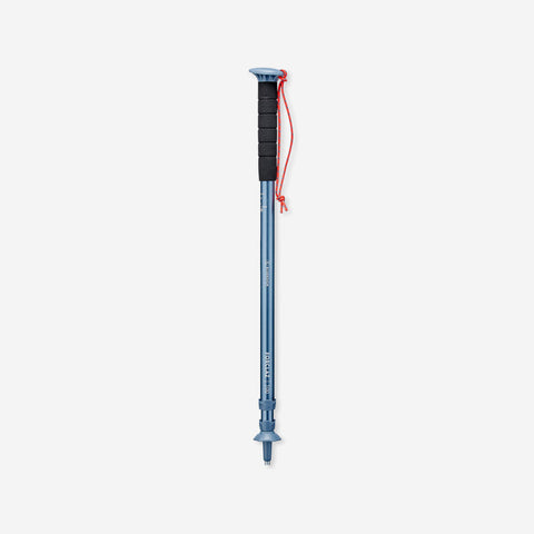 





1 affordable hiking pole - MT100 blue
