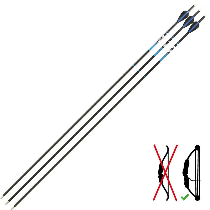 





Carbon Arrows for Compound Bow Tri-Pack Club 500 CB, photo 1 of 13