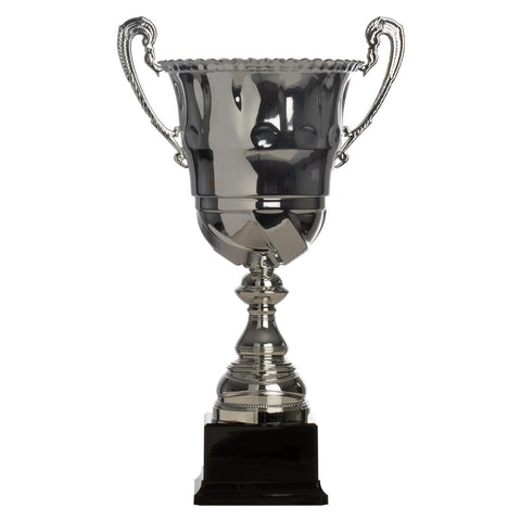 





Trophy C910 36cm - Silver